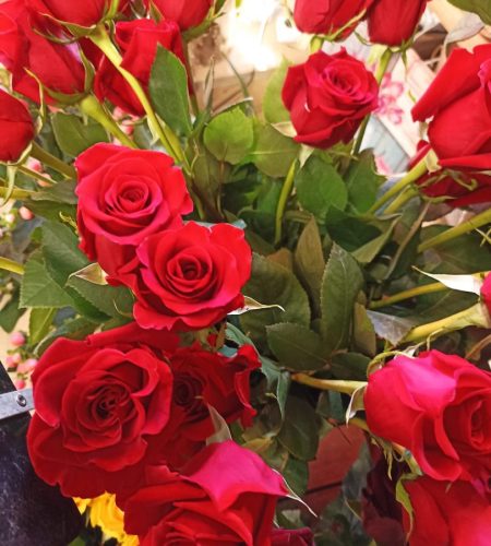 rose rouge